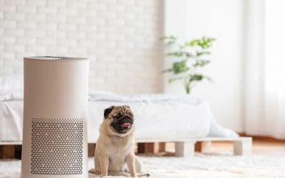 5 Ways to Improve Indoor Air Quality