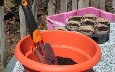 7 Steps to Create a Container Garden for the Deck, Porch, or Patio