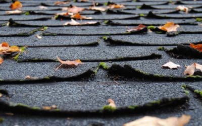 6 Essentials of Yearly Roof Maintenance