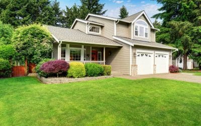 Tips for Summer Landscaping to Keep Your Yard Healthy & Beautiful