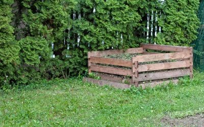 From Scraps to Soil: How to Start Composting at Home
