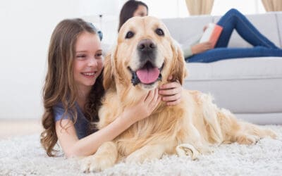 Tails, Paws, and Happy Homes: How to Create the Perfect Pet-Friendly Home